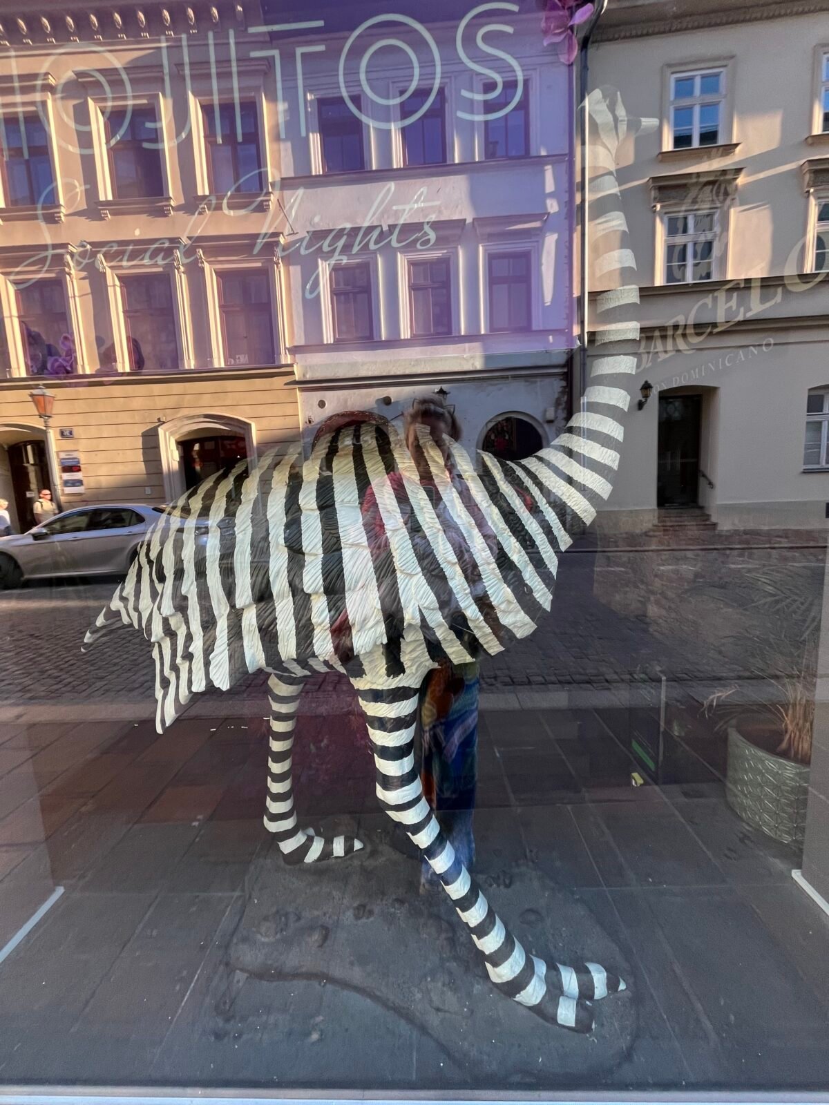 Zebra 🦓 or Ostrich ;)